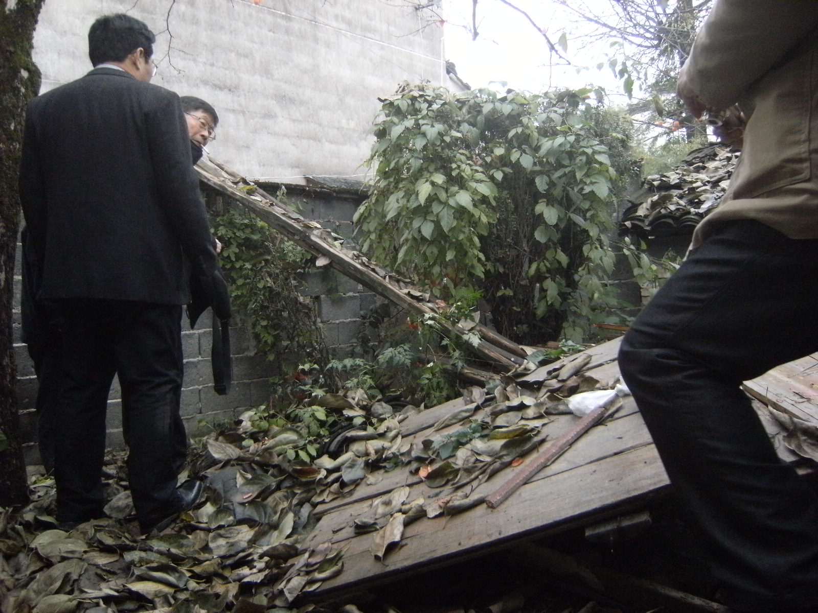 爽公墓地现状