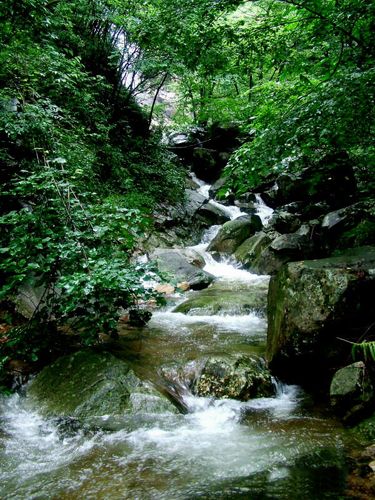 万佛山——山泉水3.jpg