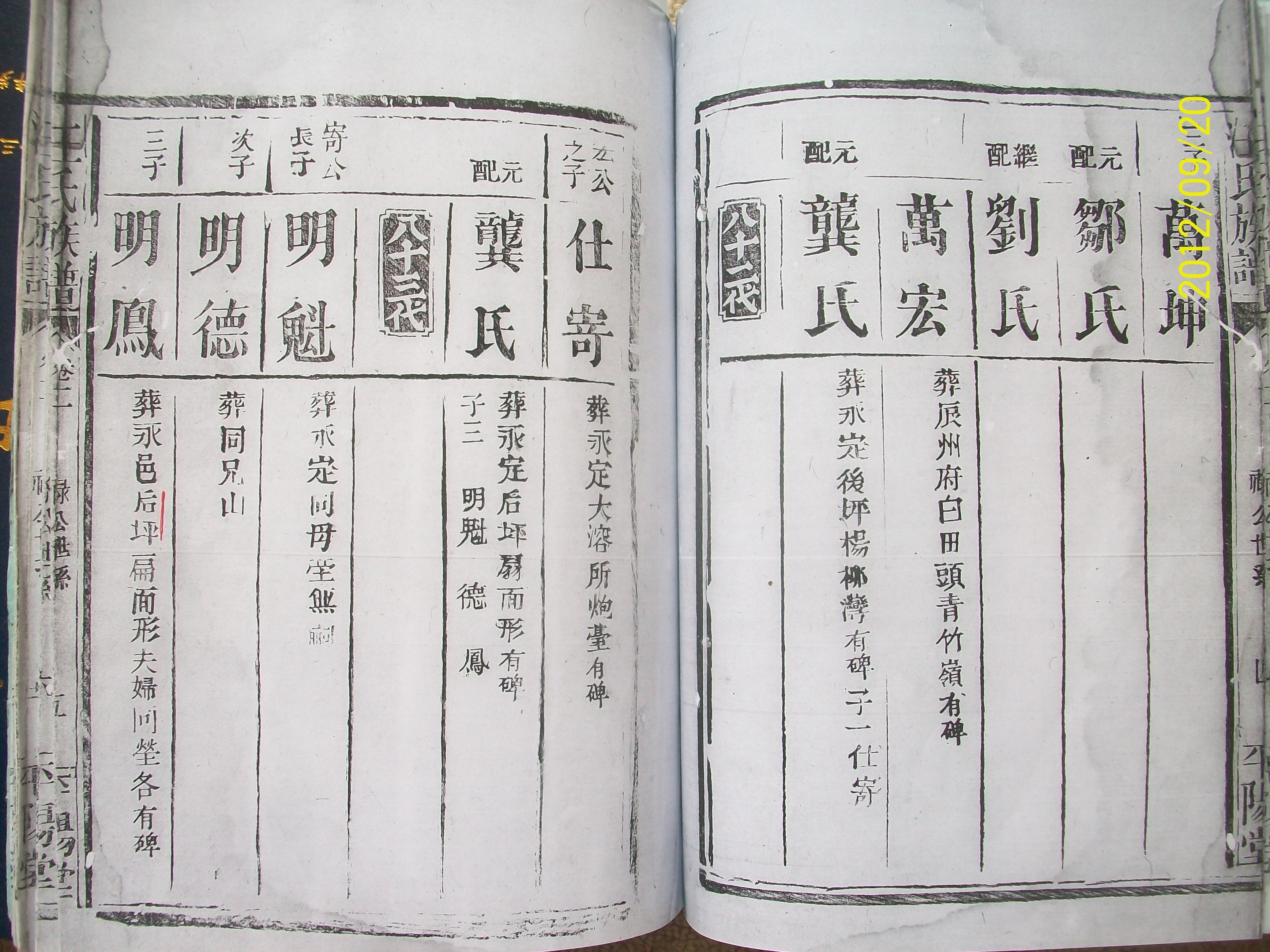 照片 008.jpg
