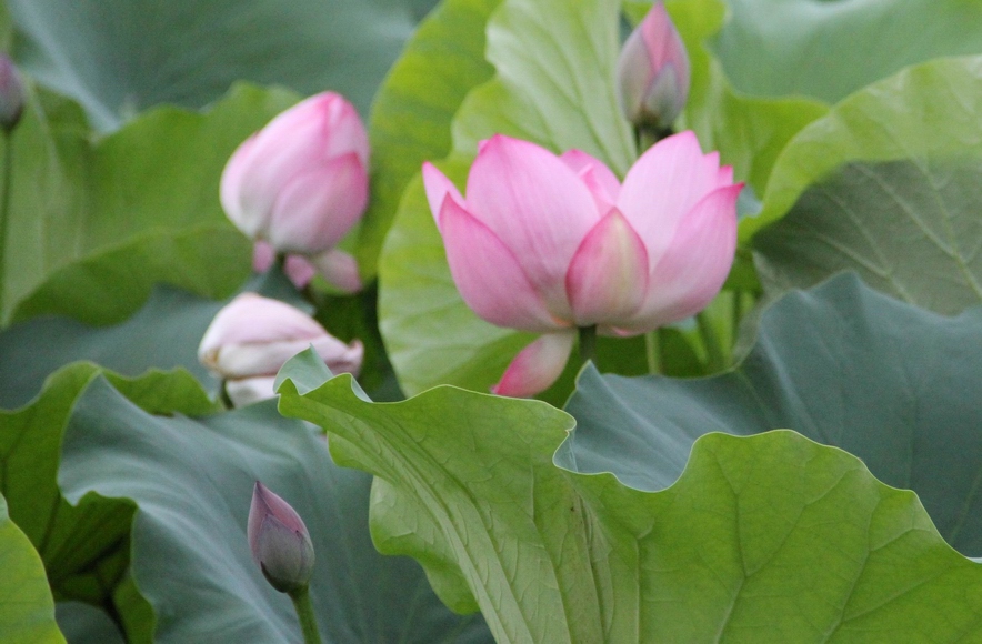 照片 012.jpg