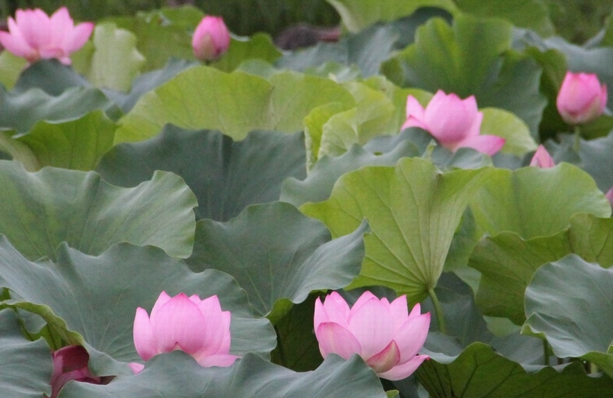 照片 181.jpg