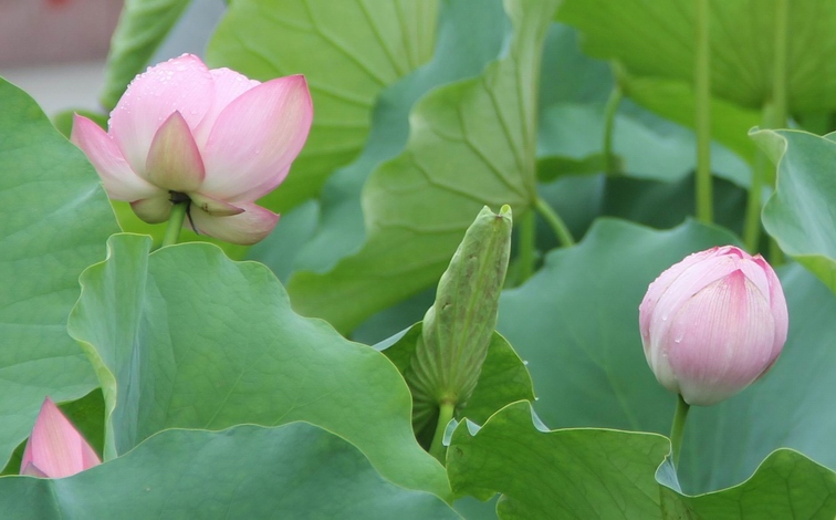照片 111.jpg