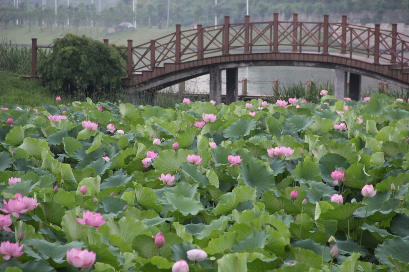 照片 014.jpg