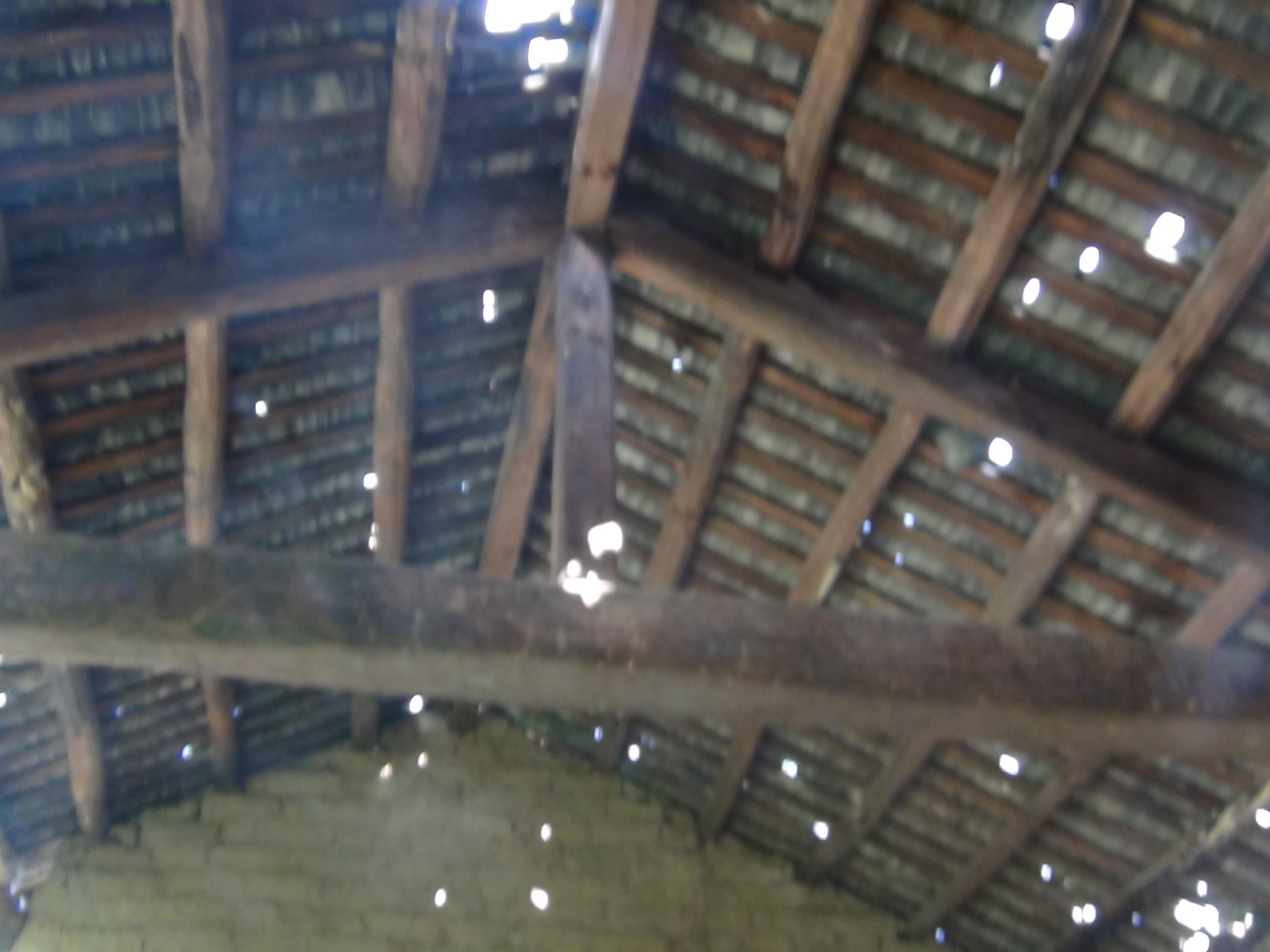 DSC02429.JPG