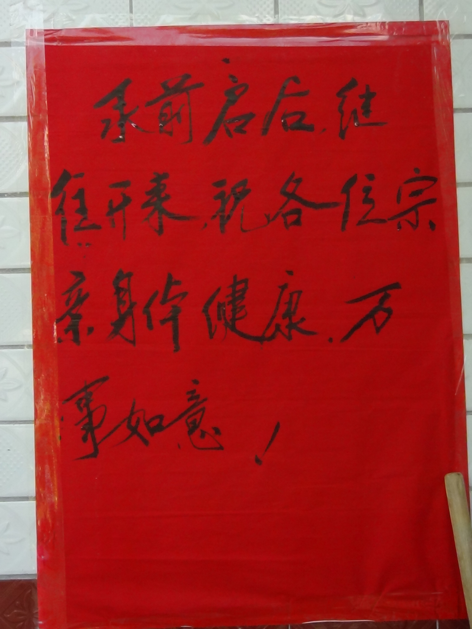 DSC02097.JPG