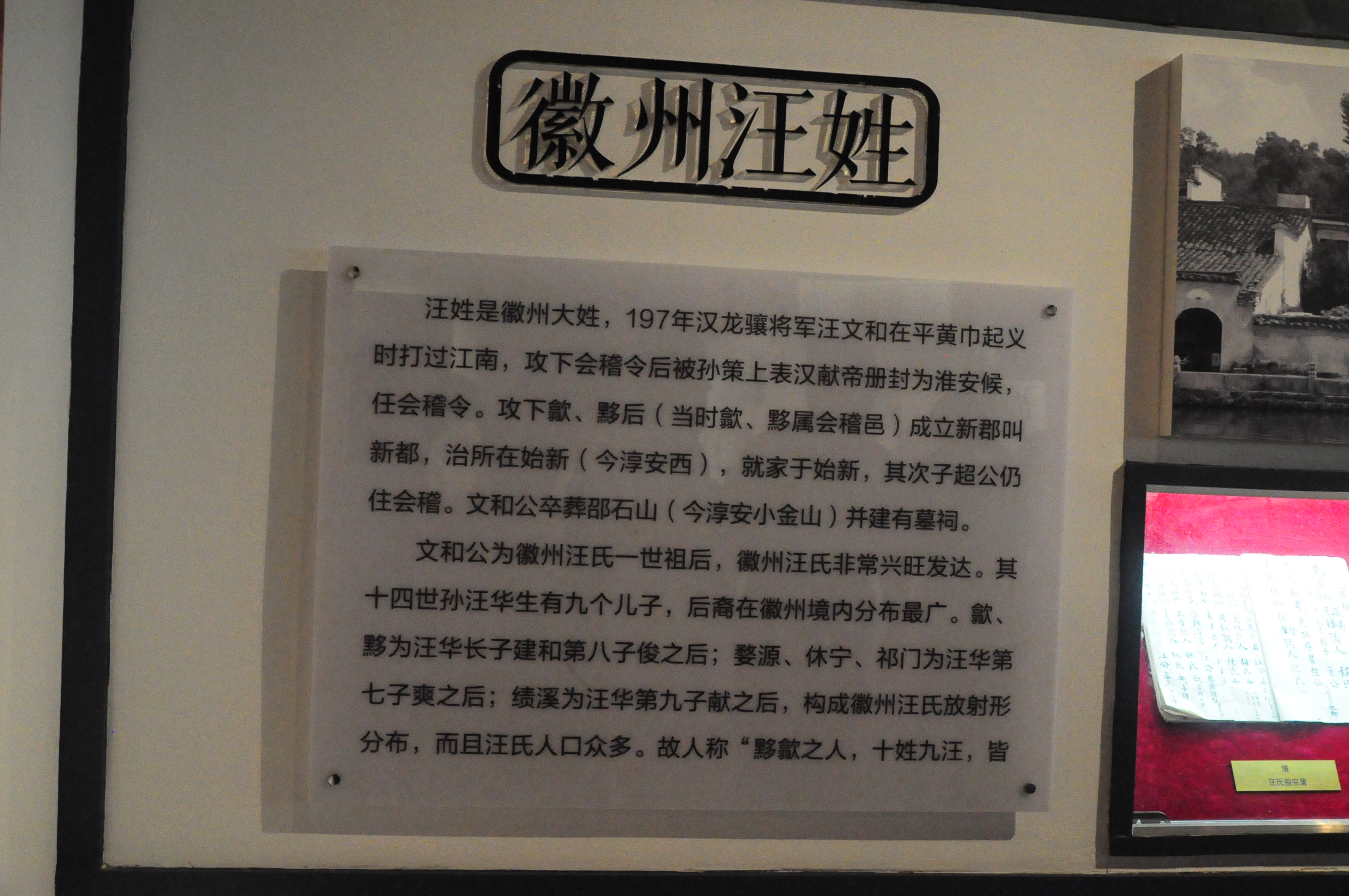 DSC_0980.JPG