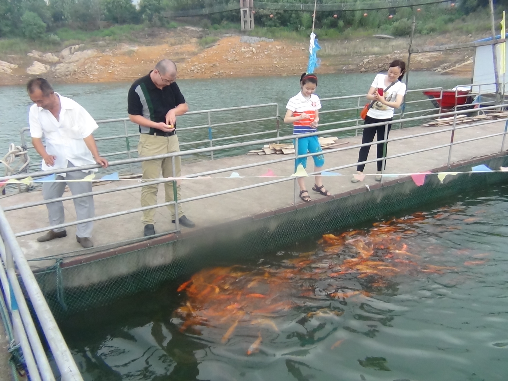 多好看的魚