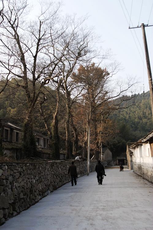 下汪村分一村二村，上汪村叫三村，以一道参天的大风水树群和上汪的云溪祠相隔.jpg