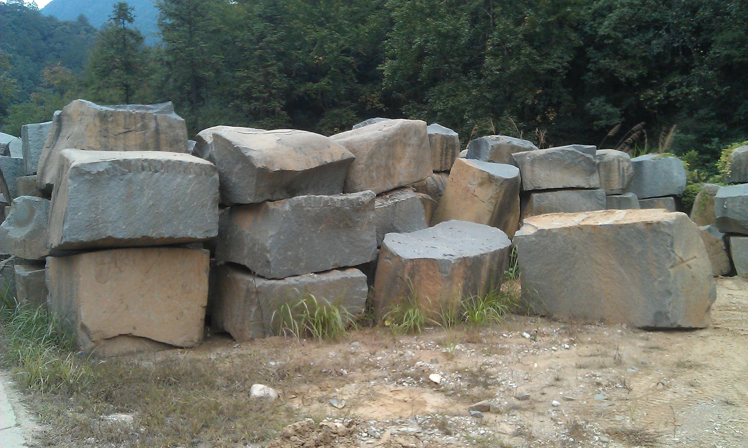 IMAG0127.jpg