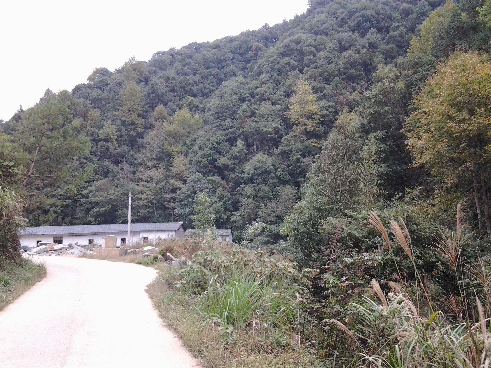 QQ图片20131017154456.jpg