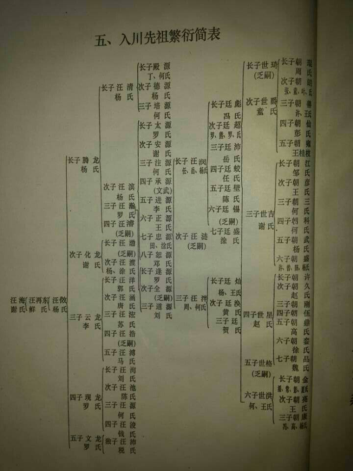 后修家谱