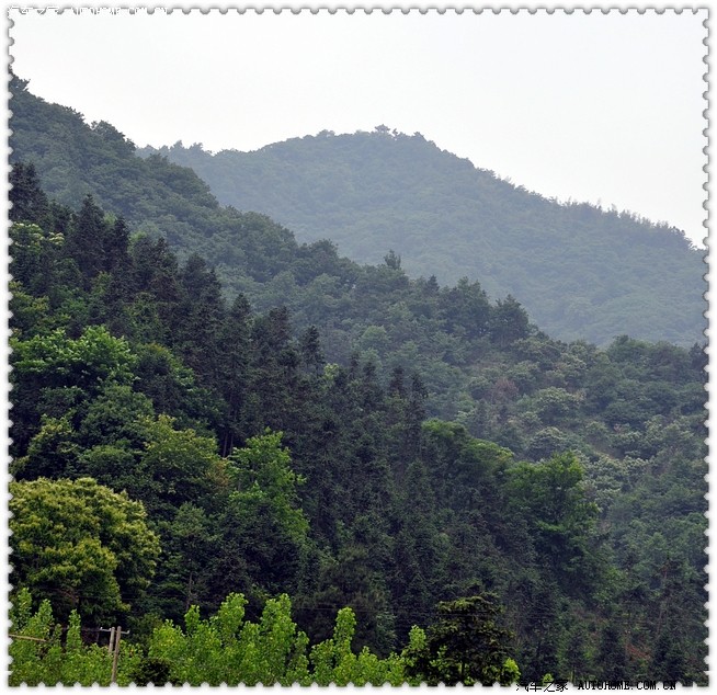 舒城华盖山.jpg