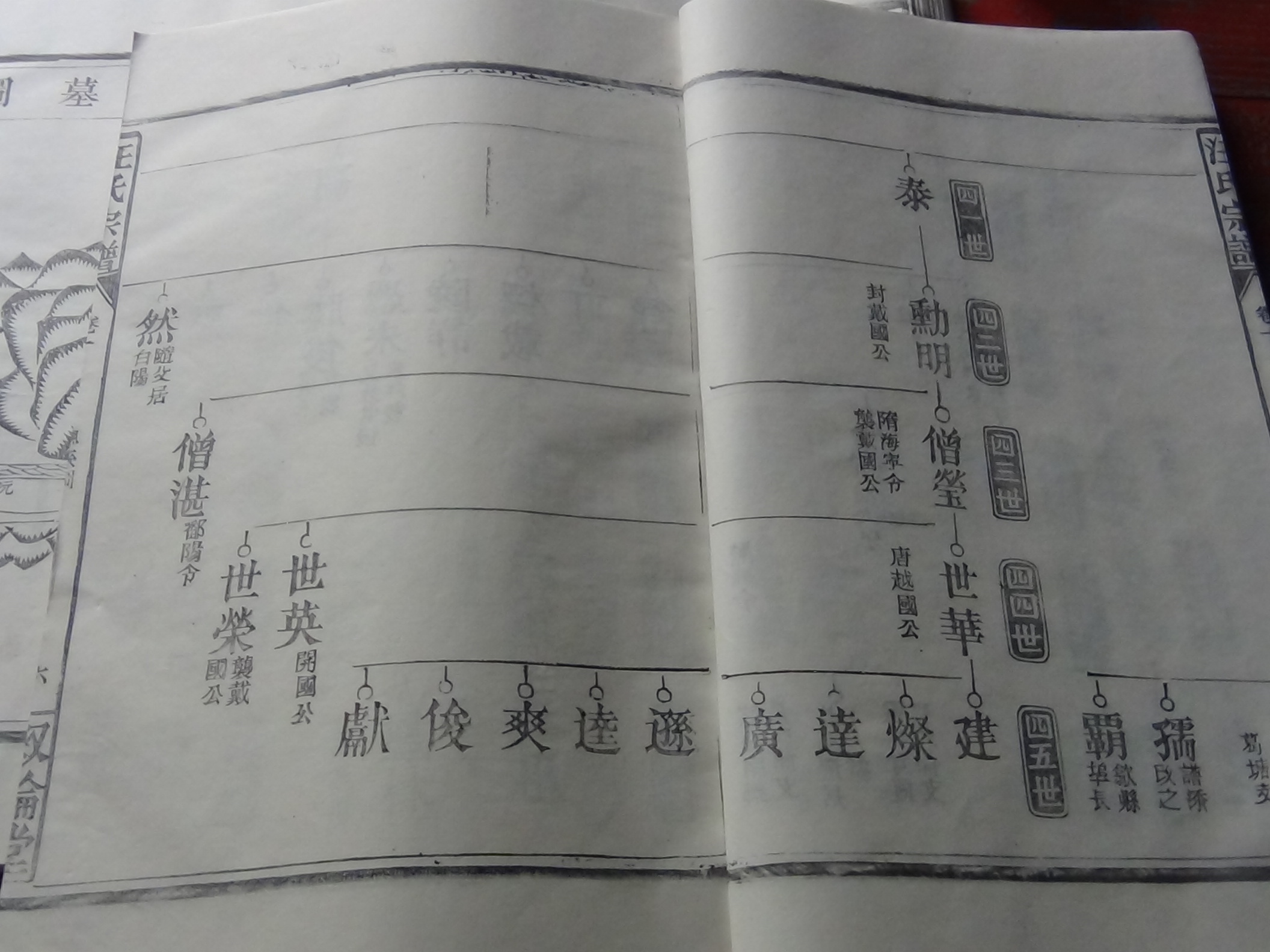 DSC00487.JPG